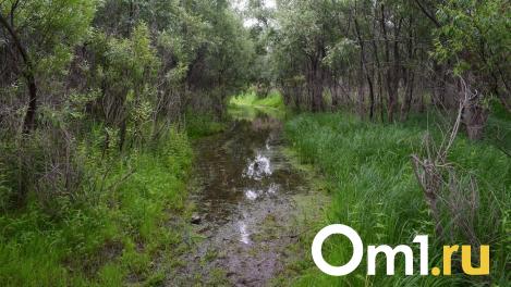 К микрорайону на Пригородной подбирается крупный овраг