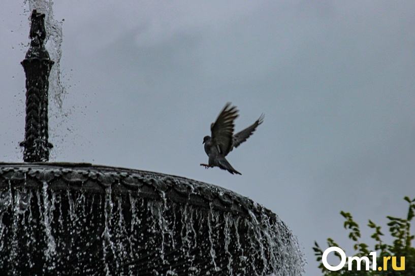 Изображение фоторепортажа