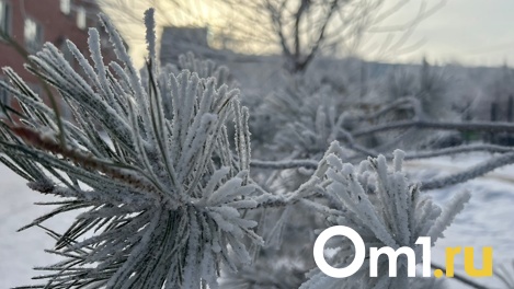 Метель и морозы. Омские синоптики рассказали о новых погодных аномалиях после резкого потепления