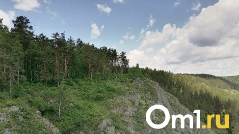 Работников Минприроды Новосибирской области арестовали за взятку в 1,6 млн рублей