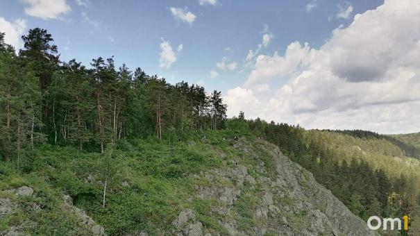 Работников Минприроды Новосибирской области арестовали за взятку в 1,6 млн рублей