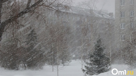 Штормовой ветер и снегопады ожидают новосибирцев в конце недели