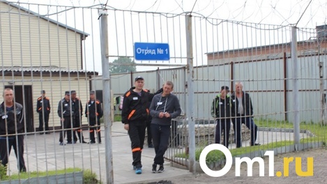 50 новосибирских осуждённых отправят на птицефабрику