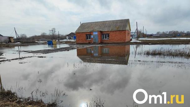 Жителям омских районов, пострадавшим от паводка, начали выплачивать до 100 тысяч рублей