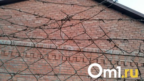 Пожилой омич отправится в колонию на 14 лет за убийство и ограбление соседа