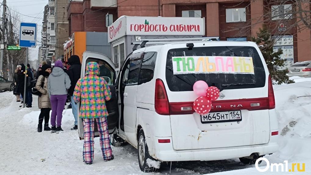 Стало известно, где продаются самые дешёвые тюльпаны в Новосибирске