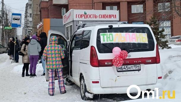 Стало известно, где продаются самые дешёвые тюльпаны в Новосибирске