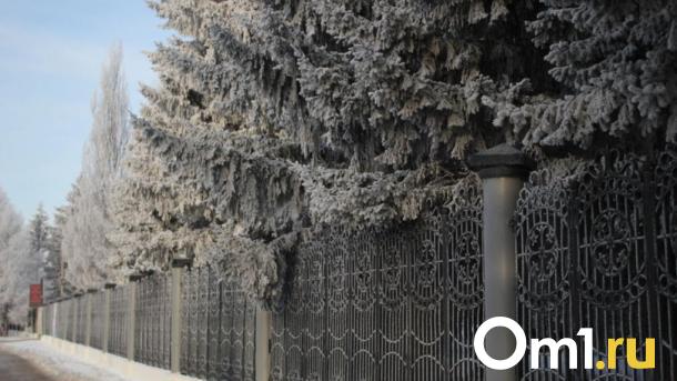 На Омск вновь передают холод до -36 градусов