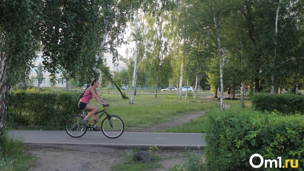 В Омске поймали двух велосипедных похитителей