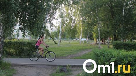 В Омске поймали двух велосипедных похитителей