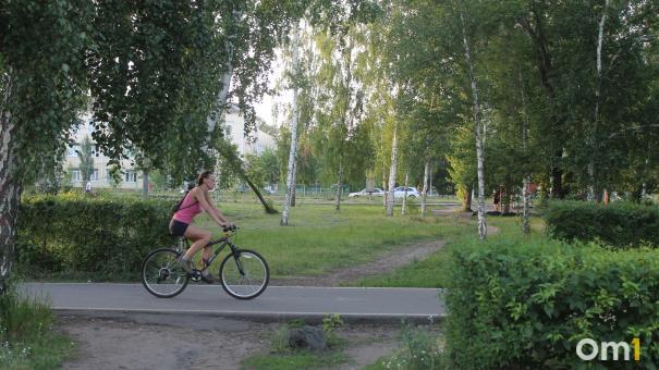 В Омске поймали двух велосипедных похитителей