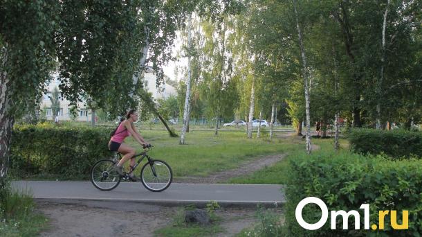 В Омске поймали двух велосипедных похитителей