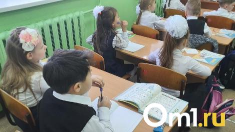 Новосибирский депутат поддержал законопроект о запрете принимать в школы детей мигрантов