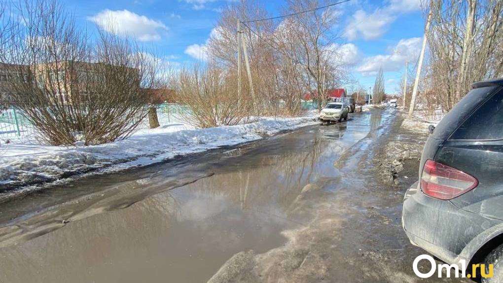 Из-за талой воды юные омичи не могут добраться до школы