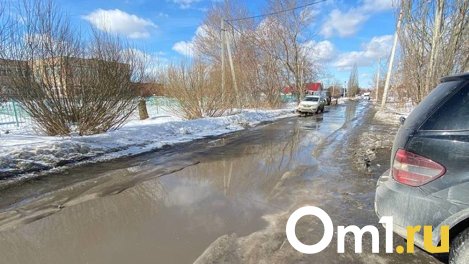 Из-за талой воды юные омичи не могут добраться до школы