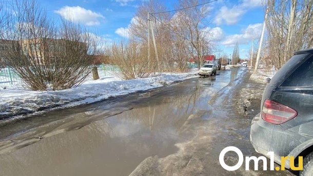 Из-за талой воды юные омичи не могут добраться до школы