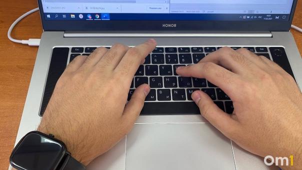 Уходим на зимнюю спячку. Омичи с наступлением холодов хотят работать на удалёнке