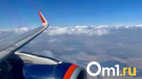 В самолёте, летевшем в Омск, объявили сигнал «Тревога»