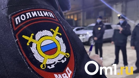Увезли в глушь и угрожали: псевдополицейские из Москвы украли миллионы у омского программиста