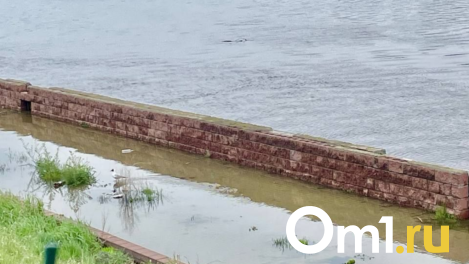 Специалисты рассказали, когда ждать пика воды в Иртыше в Омске