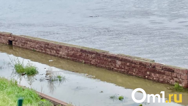 Специалисты рассказали, когда ждать пика воды в Иртыше в Омске