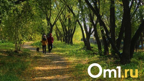 Осенний чек-лист: что омичам нужно успеть до конца сентября?