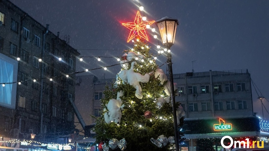 Первая новогодняя ёлка появилась в ТЦ «Галерея Новосибирск»