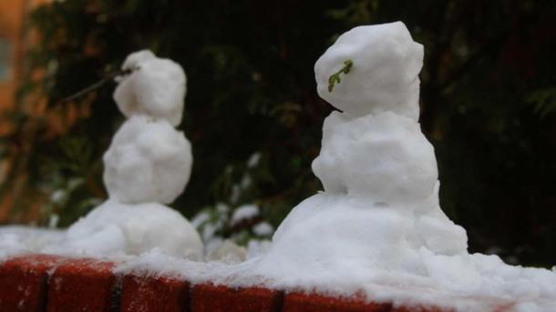 Зима отменила субботник: в Новосибирске перенесли общегородскую уборку