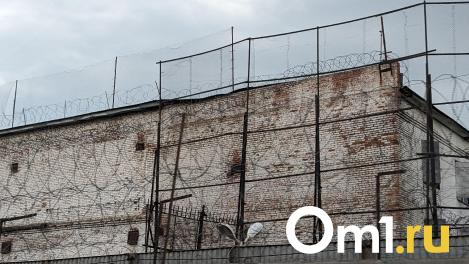 В омском СК назвали дату окончания расследования убийства школьницы из Москвы