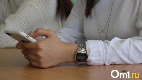 Омичи рассказали, сколько ежемесячно тратят на онлайн-покупки