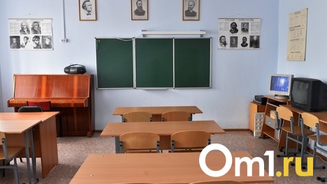 Омским школьникам предлагают поблагодарить педагогов и принять участие в акции «Спасибо учитель!»