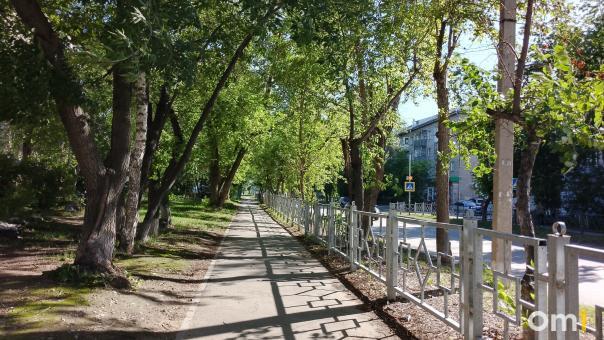Последний теплый день начался в Новосибирской области
