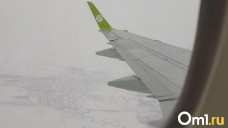 Новосибирский аэропорт Толмачёво столкнулся с серией задержек рейсов