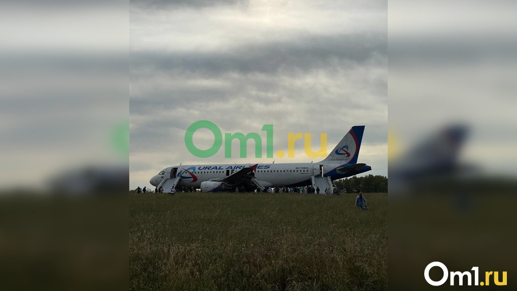 Пассажирский самолет экстренно сел в поле в Новосибирской области. ОНЛАЙН РЕПОРТАЖ