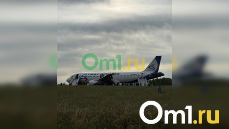 Пассажирский самолет экстренно сел в поле в Новосибирской области. ОНЛАЙН РЕПОРТАЖ
