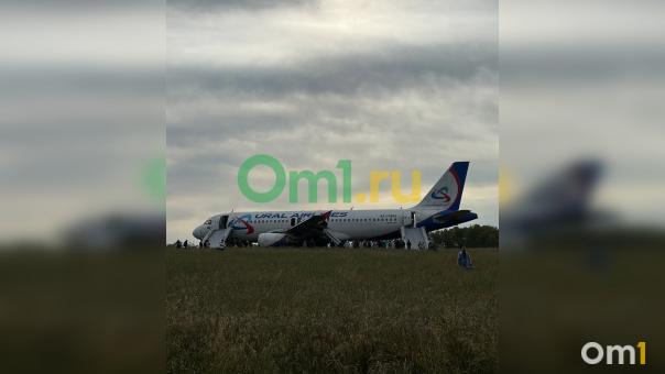 Пассажирский самолет экстренно сел в поле в Новосибирской области. ОНЛАЙН РЕПОРТАЖ