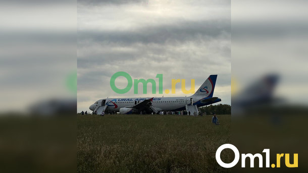 Пассажирский самолет экстренно сел в поле в Новосибирской области. ОНЛАЙН РЕПОРТАЖ