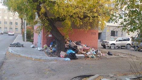 Омичи пожаловались на стихийную свалку в Центральном округе