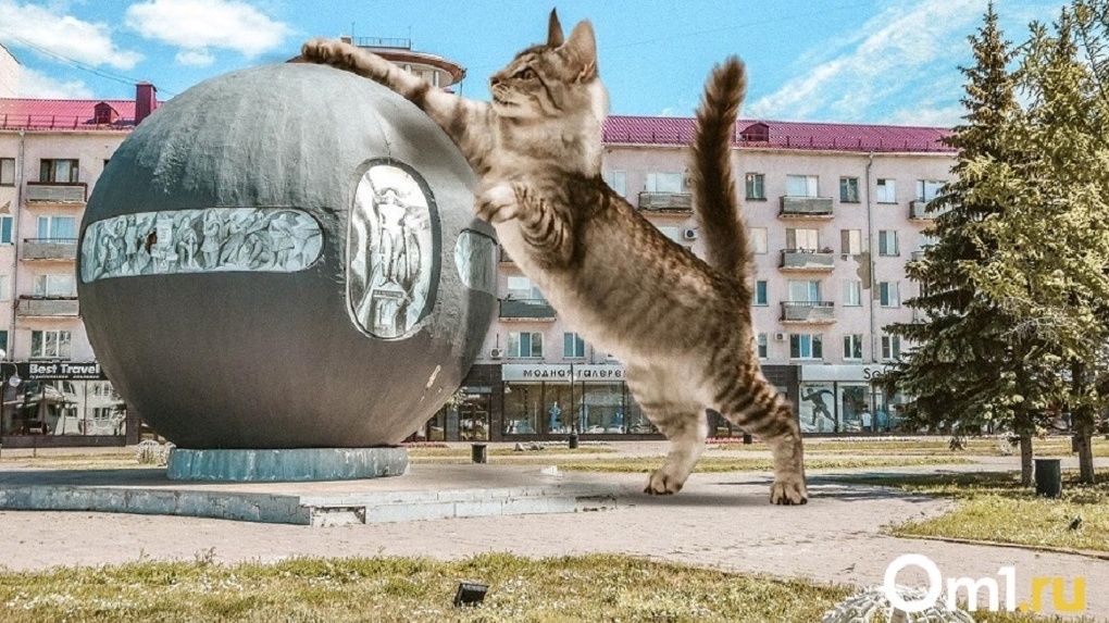 Огромные Коты Фото