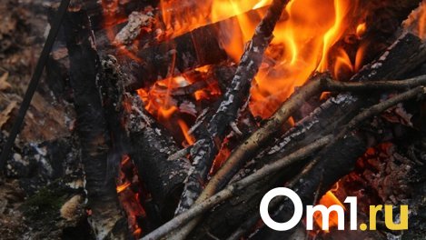 Очевидцы: на окраине Омска горит лес