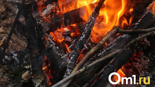 Очевидцы: на окраине Омска горит лес