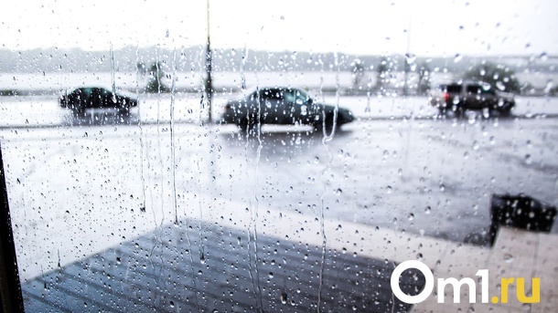 Аномалия на две недели: синоптики предсказали экстремальную погоду в Омской области