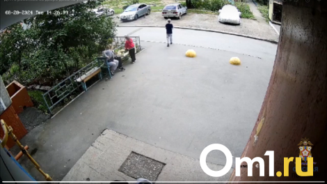 Оказался под колёсами машины: в Омске водитель сбил 8-летнего мальчика