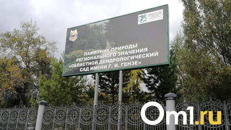 Омичи подали иск в суд, чтобы защитить дендросад имени Гензе