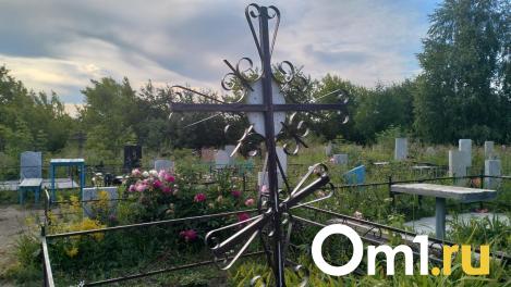 В Омске ждут иностранных специалистов для запуска первого крематория