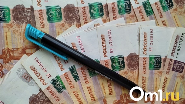 Более 800 миллионов долга. Главе омской «Тепловая компании» урежут зарплату