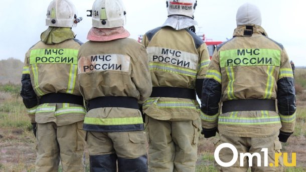 Омичка поблагодарила пожарных за спасение животных из огня