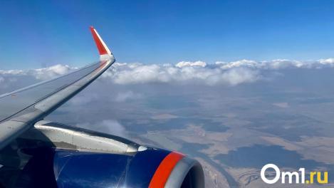 Самолёт из Омска в Москву задержали на восемь часов. В чём причина?