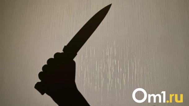 В Новосибирске мужчина обвиняется в зверском убийстве котов и бабушки