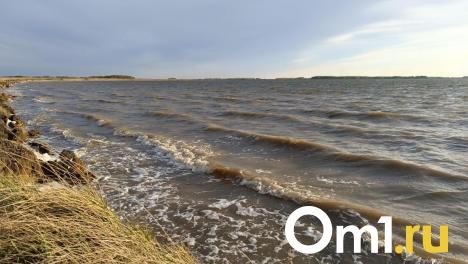 Цифры пугают: в Омской области вода унесла десятки жизней